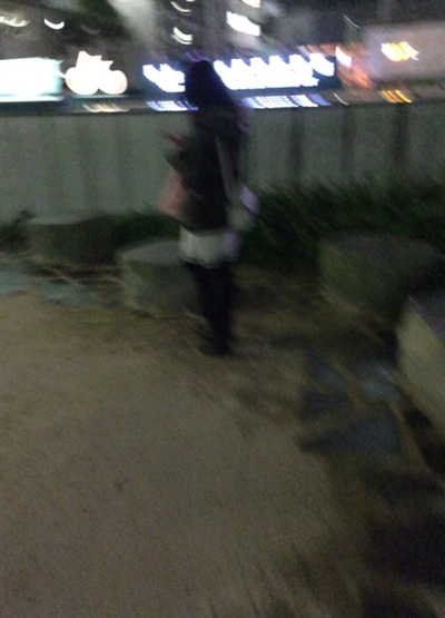 �����w�̗������